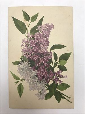 Открытое письмо/открытка. Ветка сирени. Gesetzlich geschutzt. Farbenlichtdruck v. Martin Rommel 