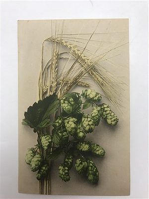 Открытое письмо/открытка. Хмель с пшеницей. Gesetzlich geschutzt. Farbenlichtdruck v. Martin 