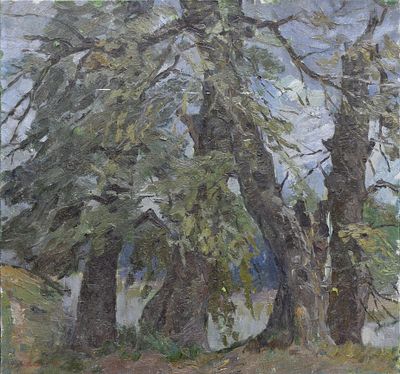 Миляев Петр Васильевич. "Старые ветла". Холст, масло. 58 х 62см. 1979 год . "Старые ветла". 