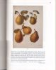 Sotheby's New York Fine Books and Manuscripts including Americana June 1999 Auction Catalog. 392 Image - 2