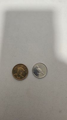 לוט 2 מטבעות אפריקה - סומלילנד וסווזילנד | שנות ה־80-2010