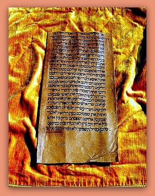 קטע נדיר מספר תורה עתיק על קלף - ספר דברים | צפון אפריקה | המאה ה-16 | נבדק בספרייה הלאומית בירושלים