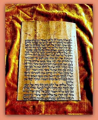 קטע קלף/גויל עתיק ומקורי מספר תורה - פרשת וישלח | צפון אפריקה, המאה ה־16 | מאומת ע"י הספרייה הלאומית