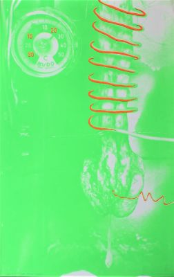 Tetsumi Kudo (1935-1990). "work", serigrafia, cm90x56, firma, es. 112/150, eseguita nel 1974