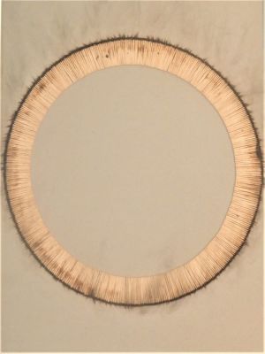 Bernard Aubertin (1934-2015). "Dessin de feu", fiammiferi su cartone, cm 65x50, firma e data al 