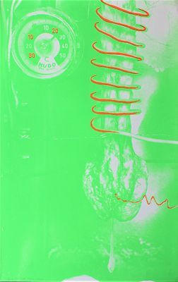 Tetsumi Kudo (1935-1990). "work", serigrafia, cm90x56, firma, es. 112/150, eseguita nel 1974