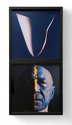 Michele Zaza “Arborescente” 2023 - Michele Zaza (1948)“Arborescente” 202302 fotografie a colori 