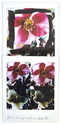 Maurizio Galimberti “BiFlowers” - Maurizio Galimberti (1956)“BiFlowers”Mosaico 2 Fujifilm instax 