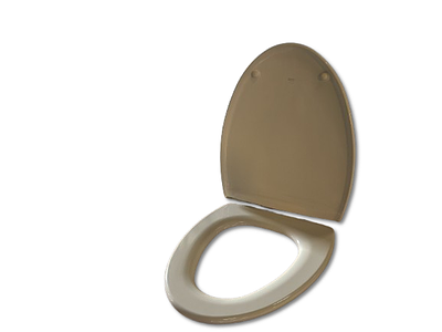Toilet Seat Roca Brand. Toilet seat Giorgia model by Roca. Oval model.
