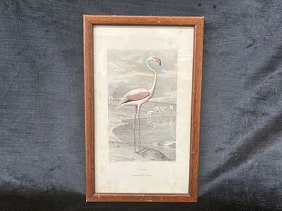 Screen printing. "The Flamingo" silkscreen print with wooden frame. Signs of use. Magalhães