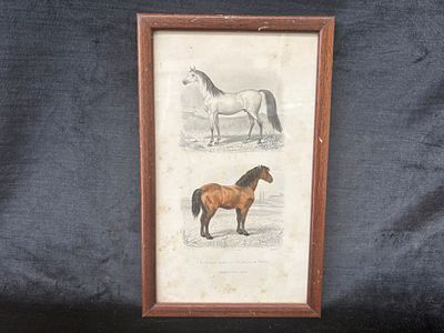Screen printing. Silkscreen print of The Arabian Horse and The Perche Horse with wooden frame.