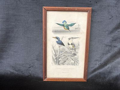 Screen print. Silkscreen print of the Woodpecker, the Long-Penins Woodpecker, and the Hoofed