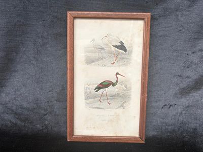 Screen Print. Silkscreen print titled "The Stork, The Black Stork" with a wooden and glass