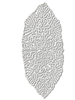 Lace Napkin. Decorative oval lace napkin. Signs of use.Image - 1