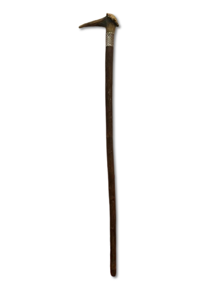 Old Cane. Antique walking stick in Pau Santo wood with duckbill decoration.
