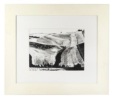 Mario Giacomelli (Senigallia, 1925 - Senigallia, 2000) "Presa di coscienza sulla natura" 1955 - 1967 Fotografia in bianco e nero Cm 30,5x40,5