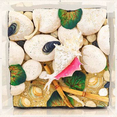 Spiaggia con conchiglia - PIERO GILARDI (Torino, 1942 - 2023) Spiaggia con conchiglia 2017 