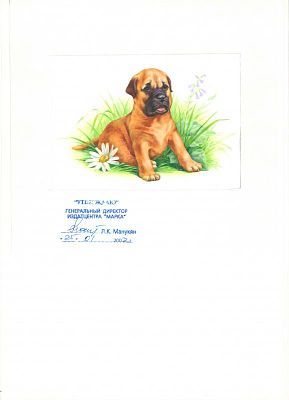 2002 г. Утвержденный проект к КПД 2002 года. На листе А4 - 1 лист. Состояние материала: **