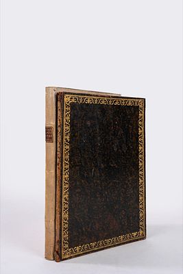 Statuta datiaria, criminalia et civilia totius communitatis Riperiae Lacus Baenaci Brixiensis 