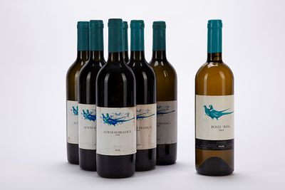Italia - PIEMONTE / Gaja Selection 7 BT: - 6 BT Gaja Alteni di Brassica Langhe, 1998 - 1 BT 