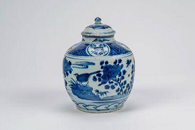 Vaso con coperchio in porcellana bianco-blu con scene di uccelli e paesaggio Cina, dinastia 