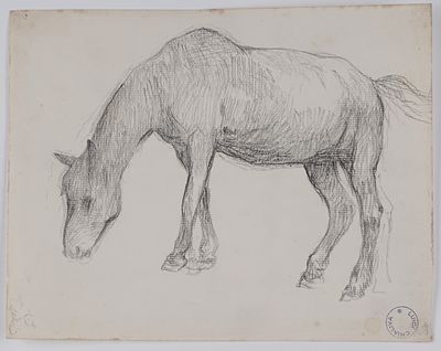 Luigi Chialiva - Cavallo - Luigi Chialiva - Cavallo cm 22 x 28 matita su carta, in cornice timbro 