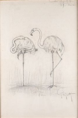 Guido Righetti (Milano 1875 - 1958) - Studio di fenicotteri – Roma, 1919 - Guido Righetti (Milano 