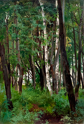 ШИЛЬДЕР Андрей Николаевич
&laquo;Лесной пейзаж с папоротниками. Этюд&raquo;
1917 г.
Холст, дублированный на 