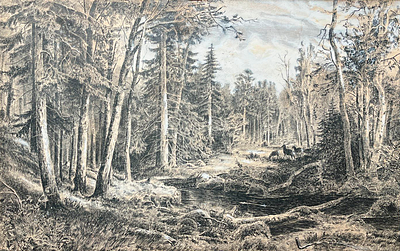 КУЗНЕЦОВ Владимир Александрович
&laquo;Болото в лесу. Копия с рисунка И.И. Шишкина&raquo;
1903 г.
Бумага 