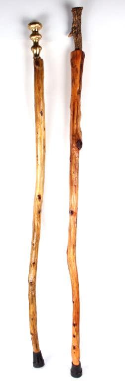 Lot 125323: HAND-MADE CARVED WOODEN WALKING CANES - LOT OF 2