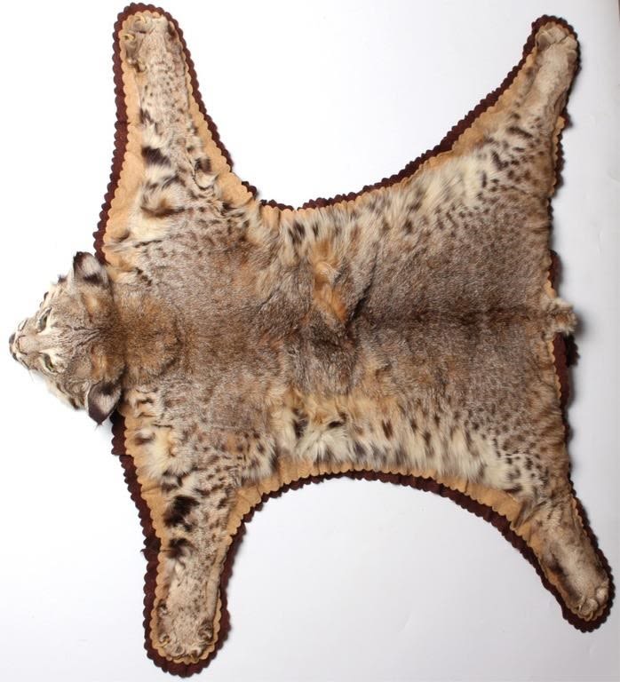 Lot 129190: TAXIDERMY BOBCAT PELT RUG