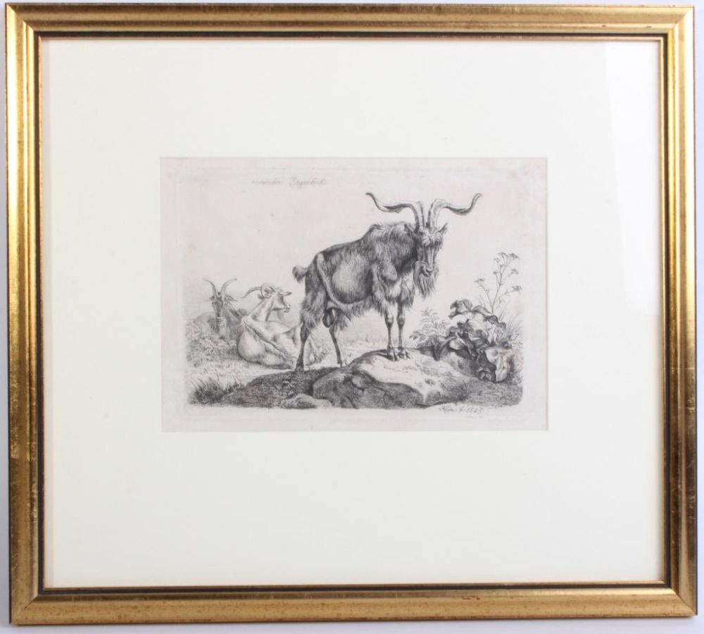 Lot 130188: JOHANN ADAM KLEIN ROMISCHER ZIEGENBOCK ETCHING