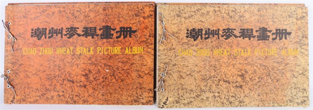 Lot 133180: CHAO ZHOU WHEAT STALK PICTURE ALBUMS (2)