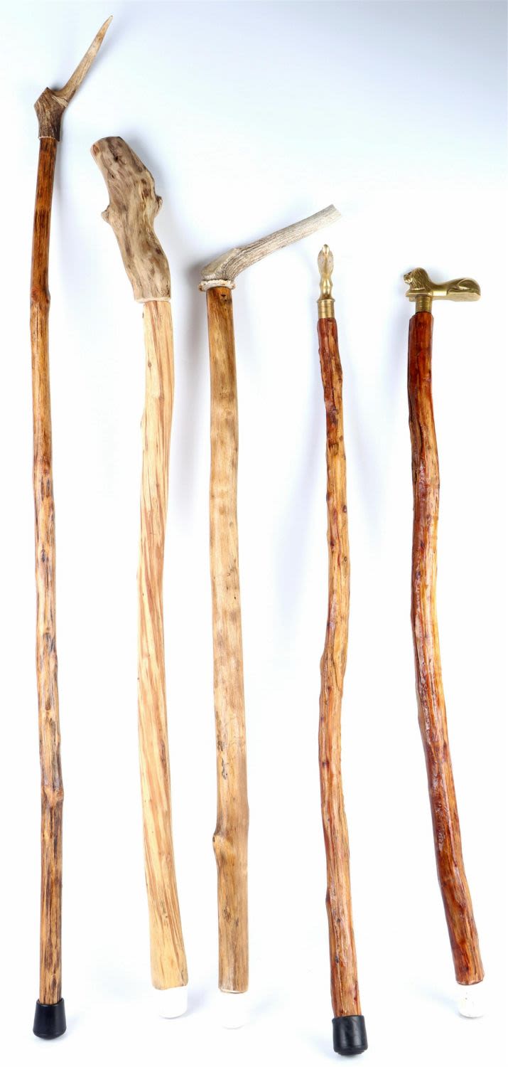 Lot 135188: HAND-CRAFTED WOODEN WALKING STICKS (5)