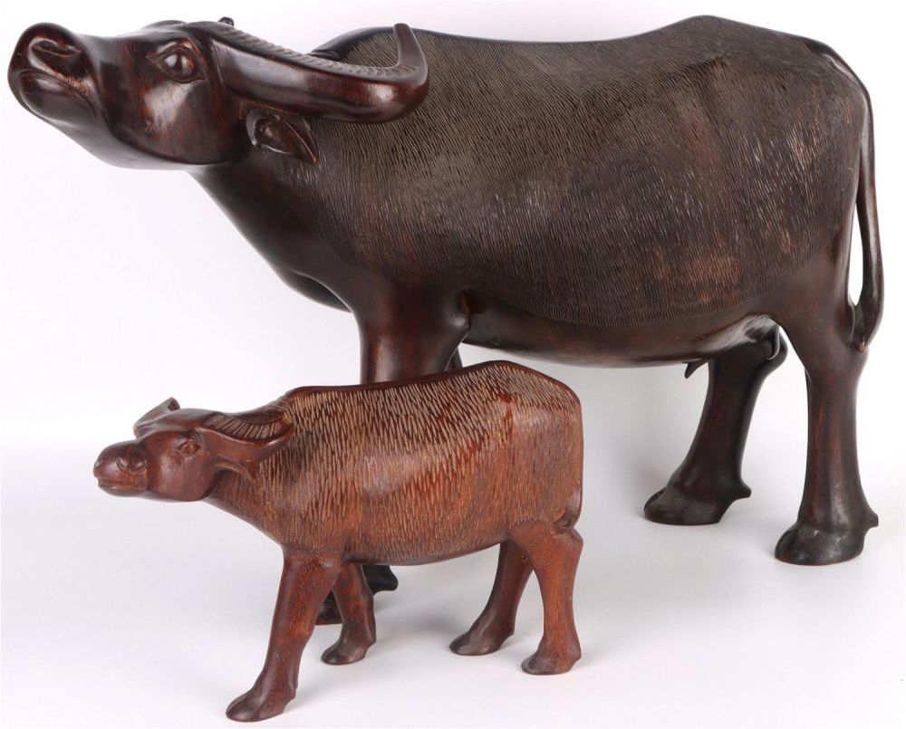 Lot 136155: 2 FT LONG AUTHENTIC POLYNESIAN WATER BUFFALO PAIR