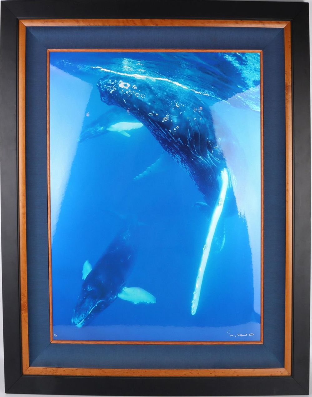 Lot 139163: WYLAND HUMPBACK #13/100 LUMACHROME ARTISTS PRINT