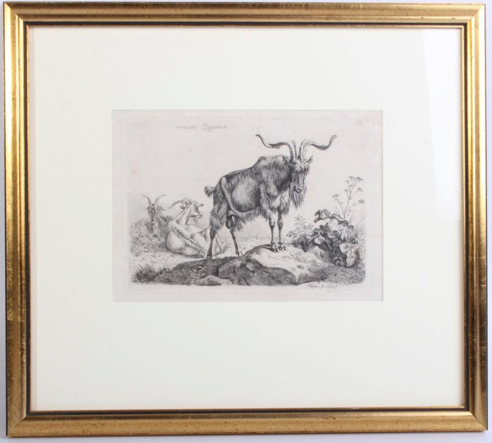 Lot 139166: JOHANN ADAM KLEIN ROMISCHER ZIEGENBOCK ETCHING