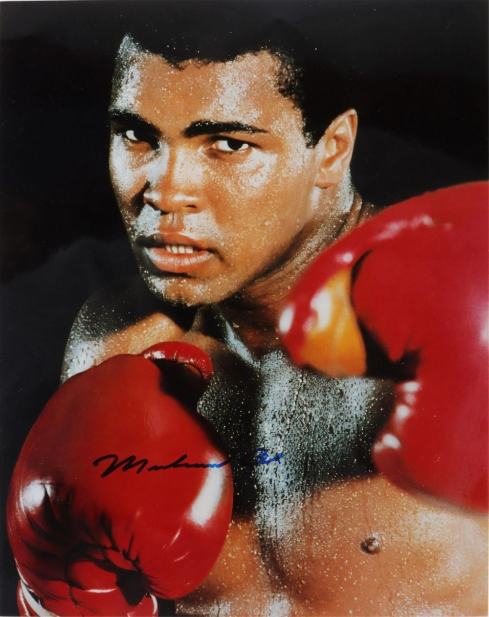 Lot 142171: MUHAMMAD ALI "THE GREATEST" BOXING AUTOGRAPH