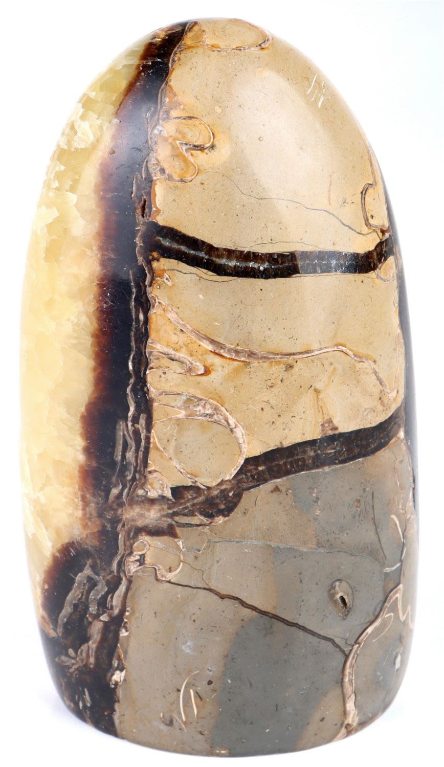 Lot 156194: 1.1KG SEPTARIAN FREEFORM POLISHED STONE