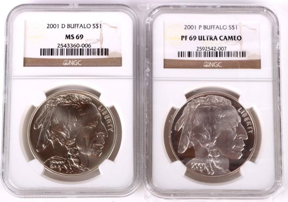 Lot 158238: COLLECTIBLE GRADED U.S. BUFFALO DOLLAR COINS - 2