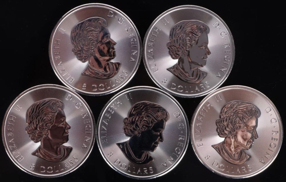 Lot 165256b: SNOWY OWLS .999 SILVER $40 FACE VALUE 1.5 OZ