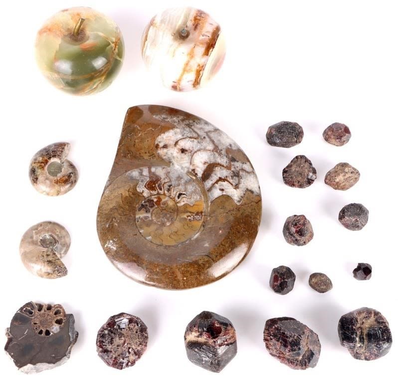 Lot 166294: AMMONITE FOSSILS & CARVED & RAW GEMSTONES