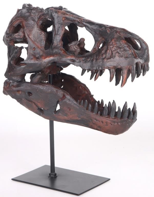 Lot 174341: TYRANNOSAURUS REX SKULL REPLICA ON DISPLAY STAND
