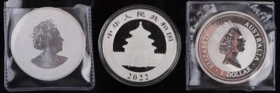 .999 FINE SILVER FOREIGN BULLION COINS - LOT OF 3. .999 fine silver foreign bullion coins to 
