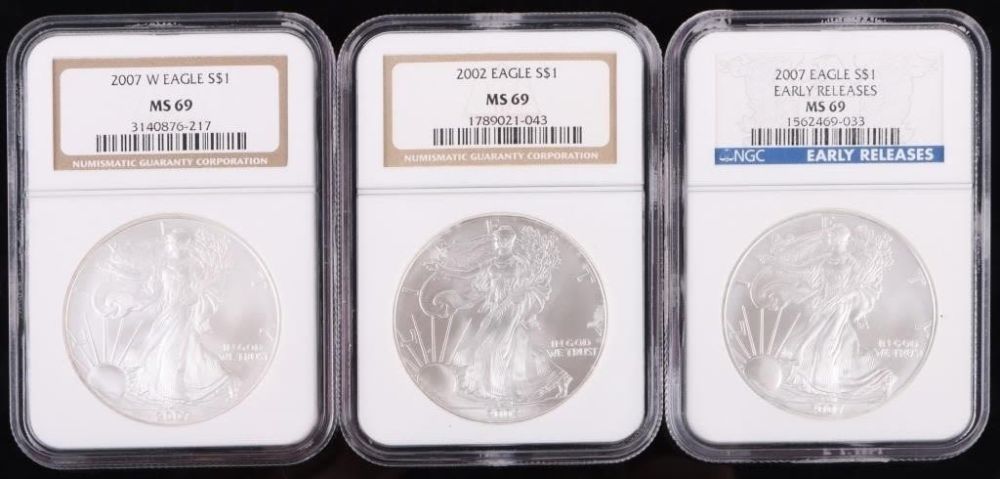Lot 178278: 1.0OZ FINE SILVER EAGLES MS69 2002-2007 COINS