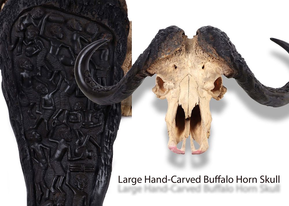 Lot 186409: MASSIVE AFRICAN CAPE BUFFALO WITH HAND CARVED HORNS