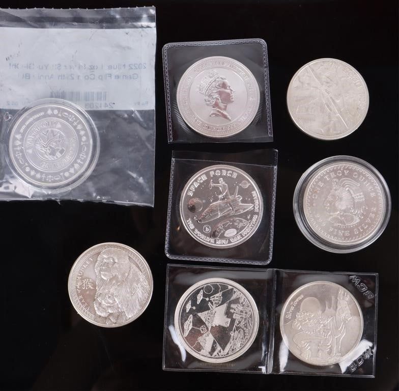 Lot 188351: ASSORTED SILVER BULLION COINS - (8)