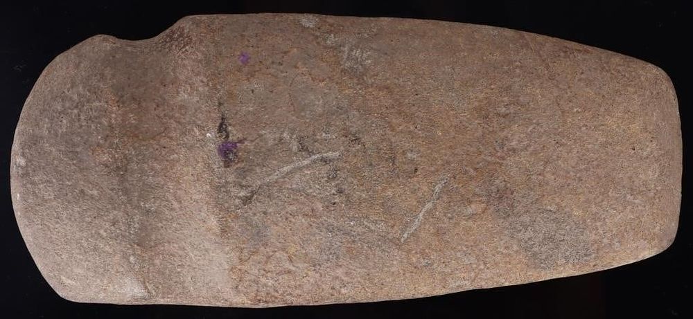 Lot 194425: PALEOLITHIC NATIVE AMERICAN STONE AXE HEAD