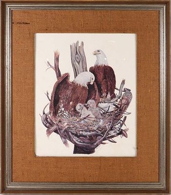 BOB CONNELL FRAMED BALD EAGLE NEST PRINT. Bob Connell framed bald eagle nest print.Size: 24.25" 