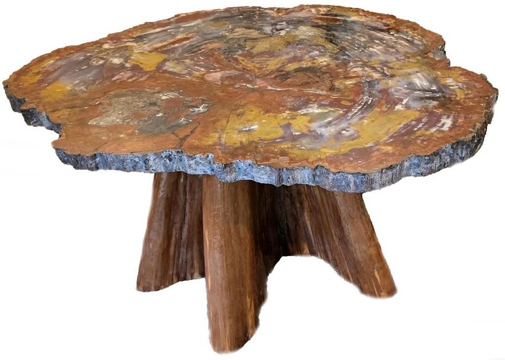 Lot 195381: LARGE PETRIFIED WOOD TABLE W/ CYPRESS BASE